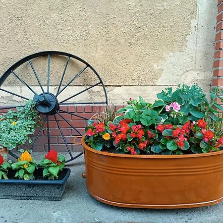 Lesieniec - Magdalena I Maciej Mochon Alloggio per agriturismo Syców