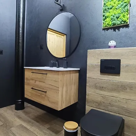 Vakantieboerderij Lesieniec - Magdalena I Maciej Mochon Syców
