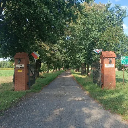 Lesieniec - Magdalena I Maciej Mochon