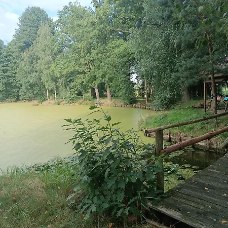 Lesieniec - Magdalena I Maciej Mochon Farm stay
