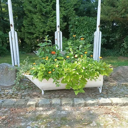 Lesieniec - Magdalena I Maciej Mochon Farm stay