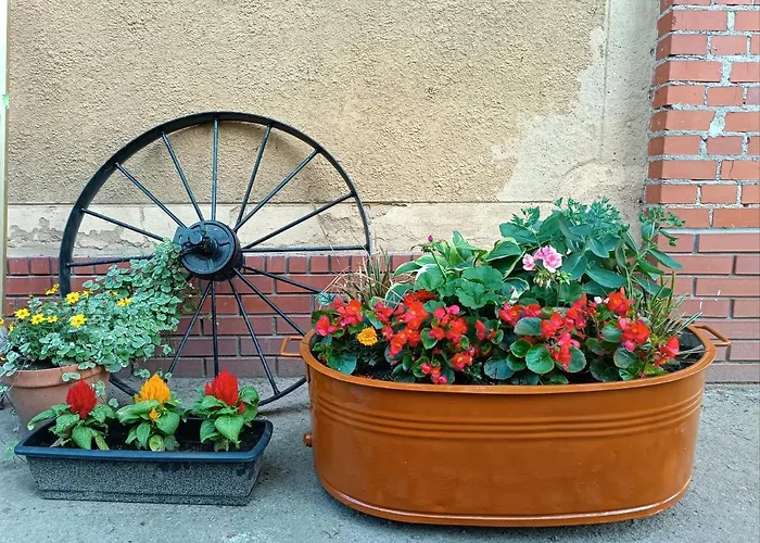 Lesieniec - Magdalena I Maciej Mochon Фермерский дом Сыкув