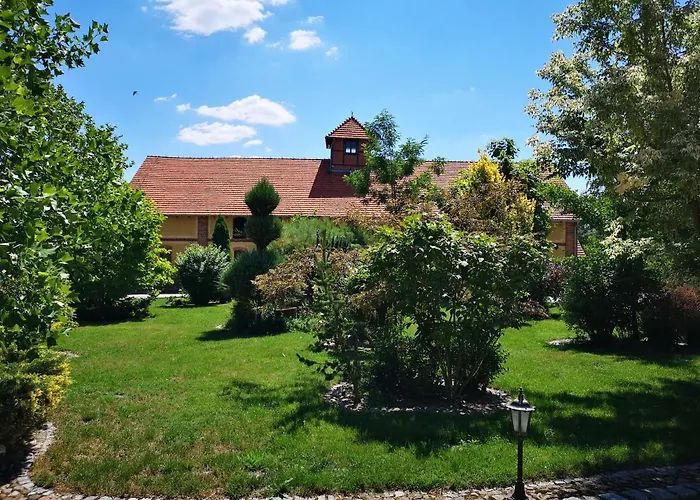 Lesieniec - Magdalena I Maciej Mochon Syców