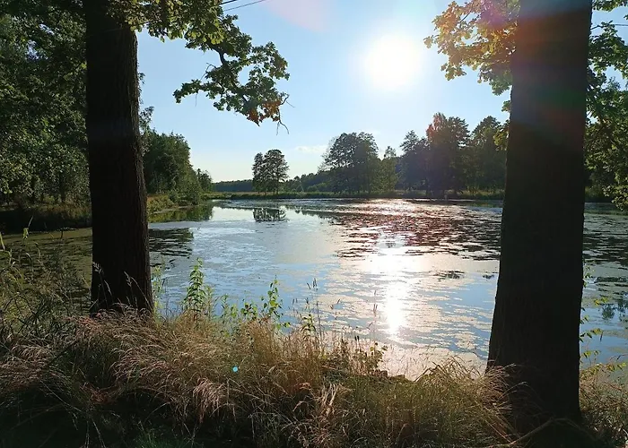 Lesieniec - Magdalena I Maciej Mochon *
