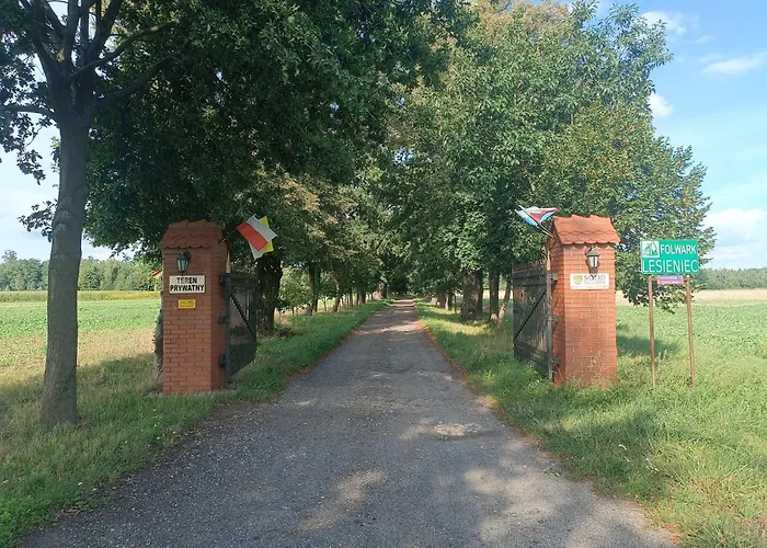 Lesieniec - Magdalena I Maciej Mochon