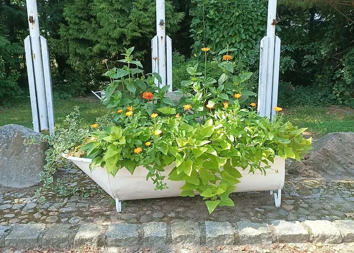 Lesieniec - Magdalena I Maciej Mochon مزرعة للإقامة